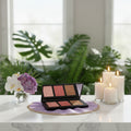 Pro Cheek Palette.png