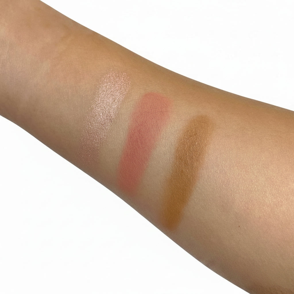 Pro Cheek Palette_2.png